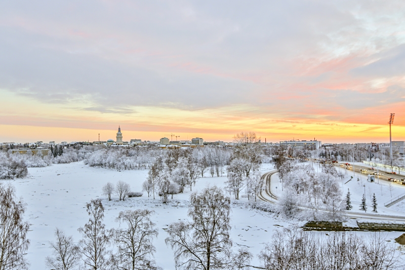 Picture of Oulu in winter: Photograph taken from Tuira, foreground with trees and snow on the ground, background with the city and the cathedral on the left