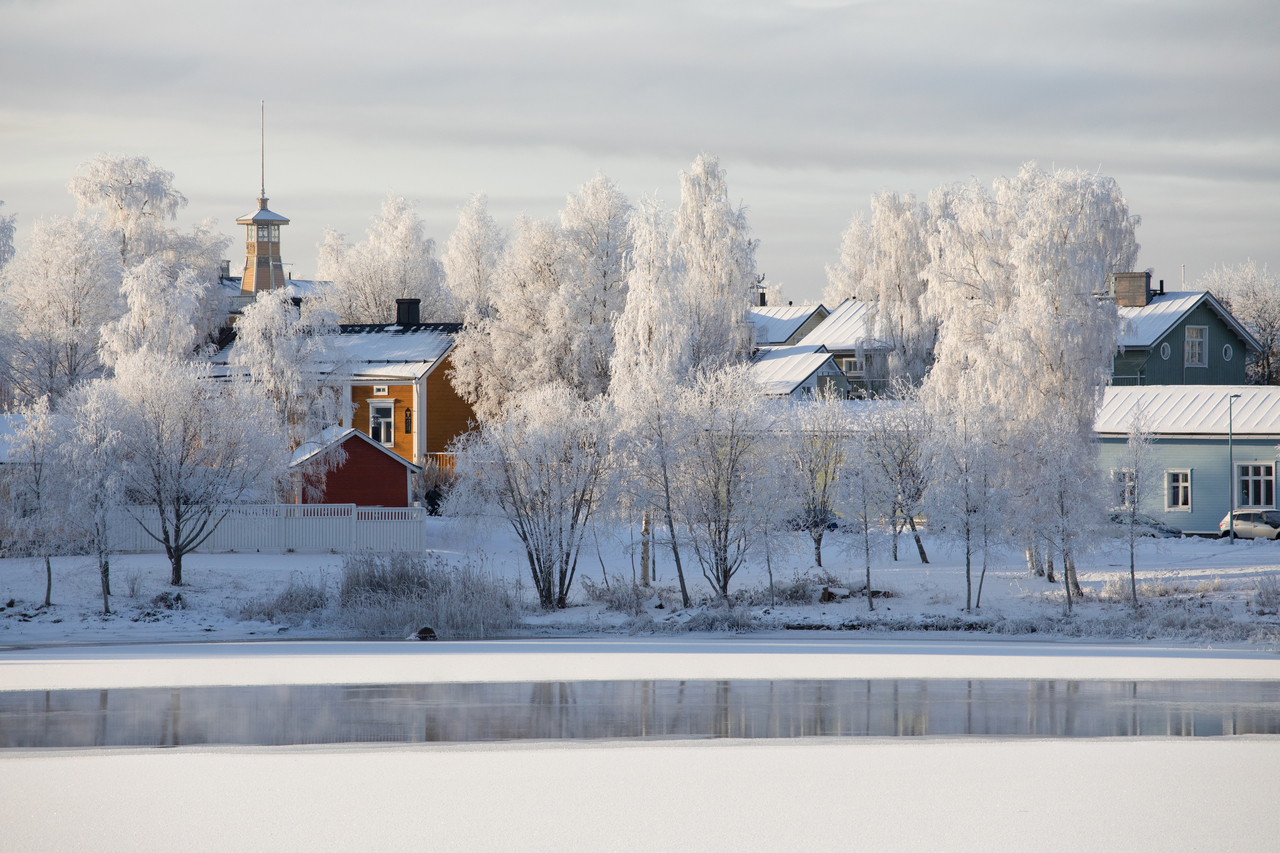 decorative; a view of Oulu in Winter showing wood houses and snowy trees