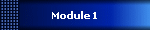 Module1