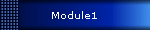 Module1