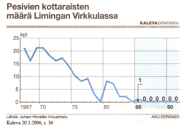 kottarainen