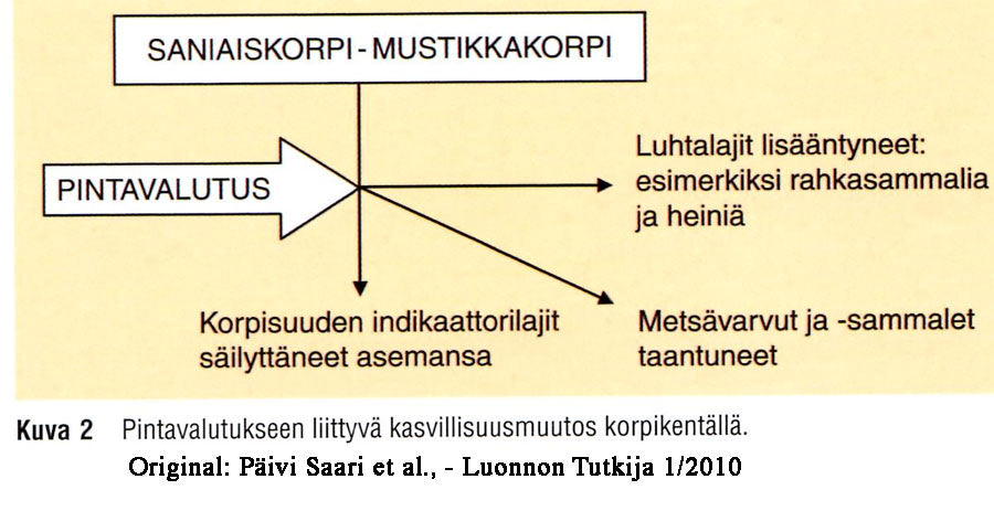 suometsa