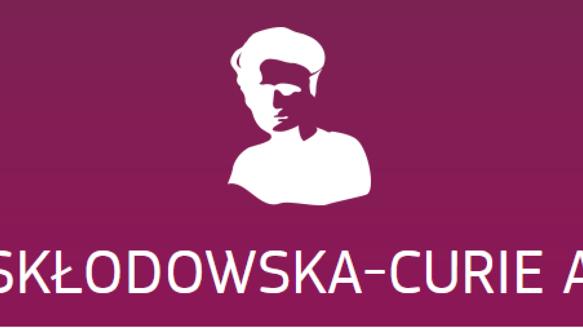 Marie Skłodowska-Curie researchers to address legitimation of newness and its impact